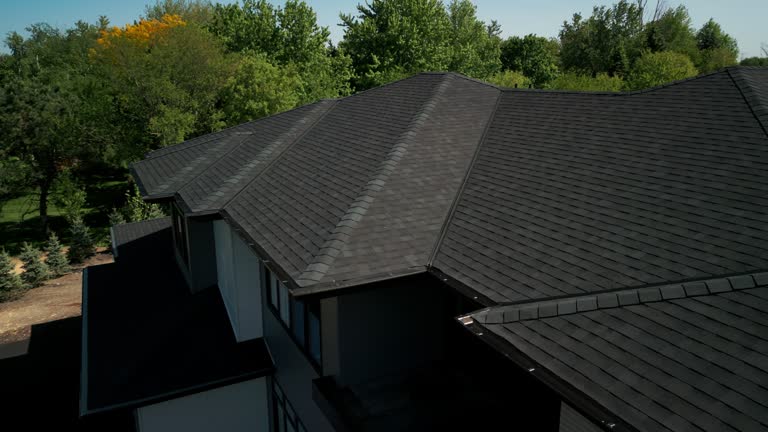 Best Rubber Roofing (EPDM, TPO)  in Ladd, IL