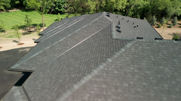 Best Green or Eco-Friendly Roofing Solutions  in Ladd, IL