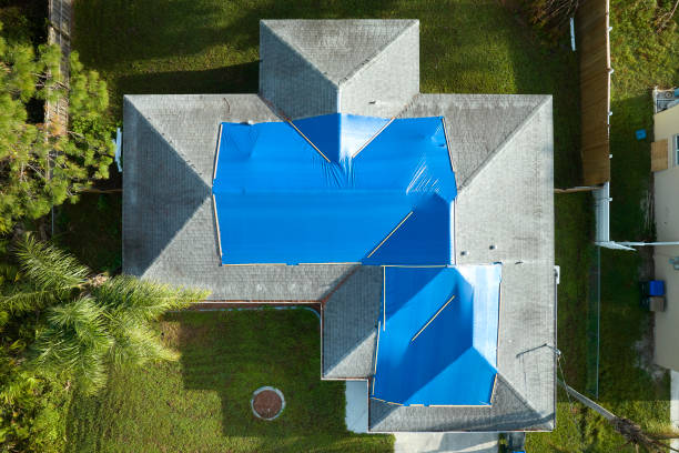 Best Asphalt Shingles Roofing  in Ladd, IL