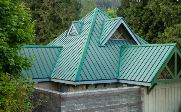 Best Solar Panel Roofing Installation  in Ladd, IL