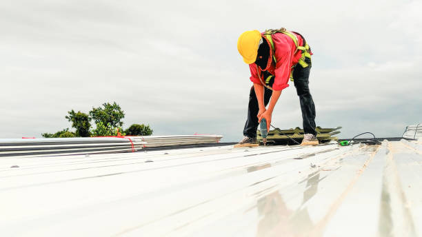 Steel Roofing in Ladd, IL