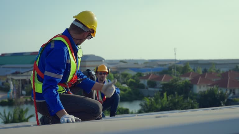 Best Roof Ventilation Installation  in Ladd, IL