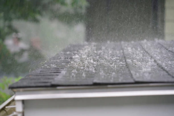 Best Flat Roofing  in Ladd, IL