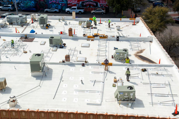 Best Roof Maintenance and Cleaning  in Ladd, IL