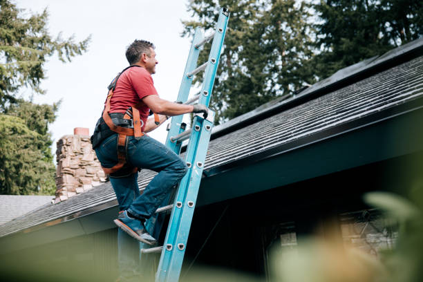 Best Gutter Installation and Repair  in Ladd, IL