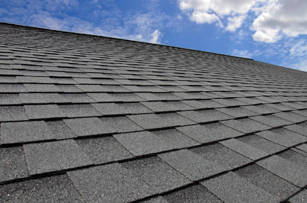 Best 4 Ply Roofing  in Ladd, IL