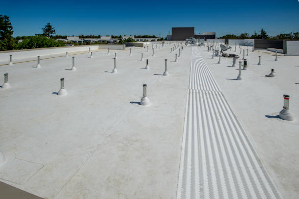 Best Skylights  in Ladd, IL