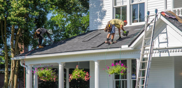 Best Rubber Roofing (EPDM, TPO)  in Ladd, IL
